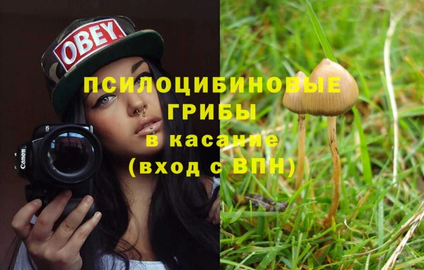 PSILOCYBIN Аркадак