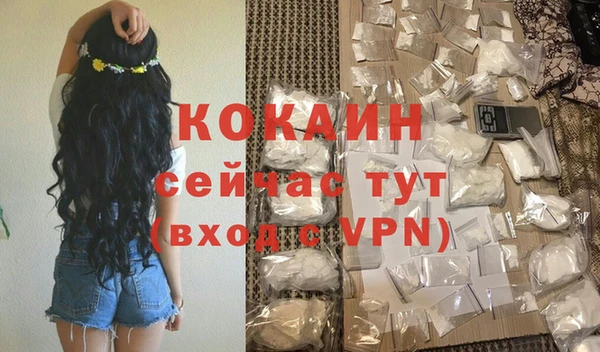 PSILOCYBIN Аркадак