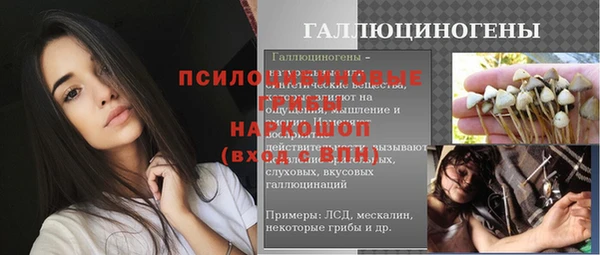 PSILOCYBIN Аркадак